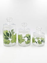 Luminarc Green Floral Glass Storage Jars Set with Lids